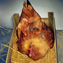 Ranieri Wanderlingh Naturalismi