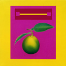 Ranieri Wanderlingh Pop Concettuale