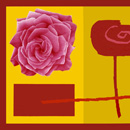 Ranieri Wanderlingh Pop Concettuale