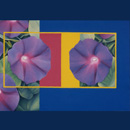 Ranieri Wanderlingh Pop Concettuale